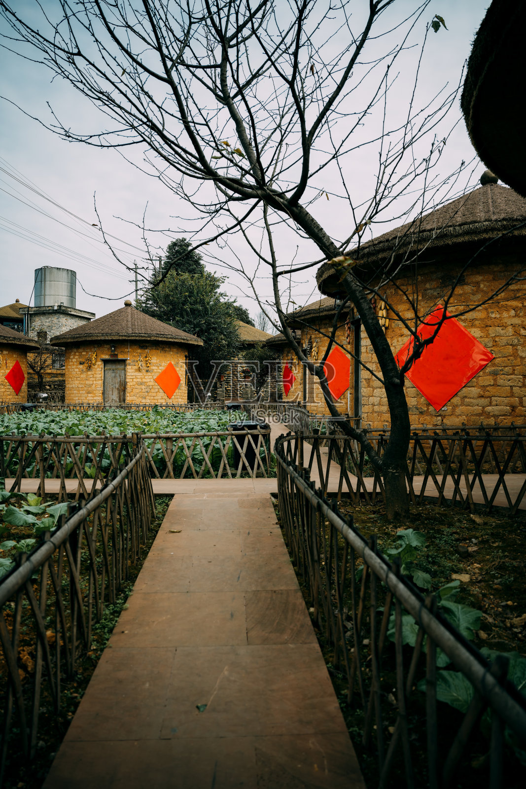 一屋子的米照片摄影图片