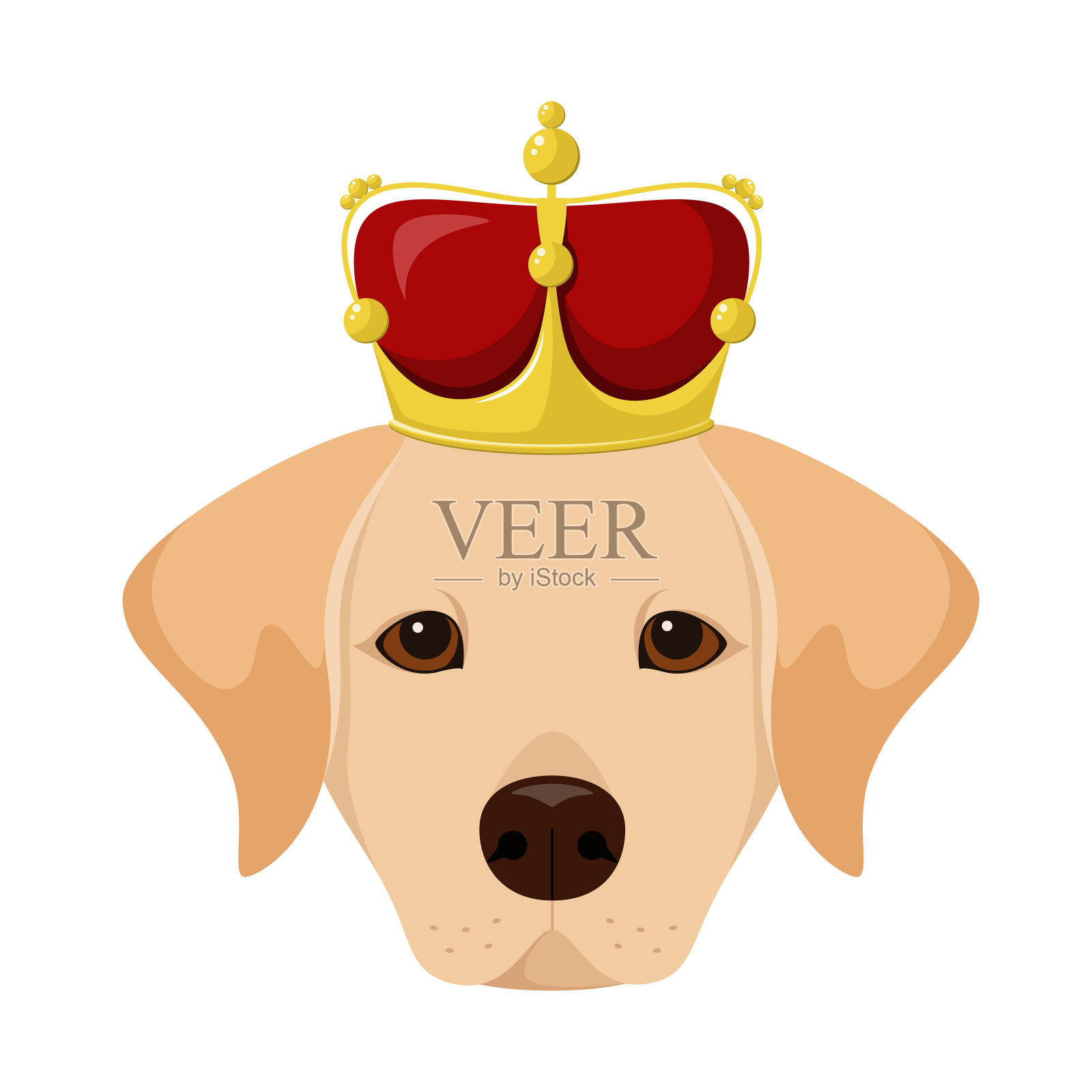 戴着金色王冠的拉布拉多狗的头插画图片素材