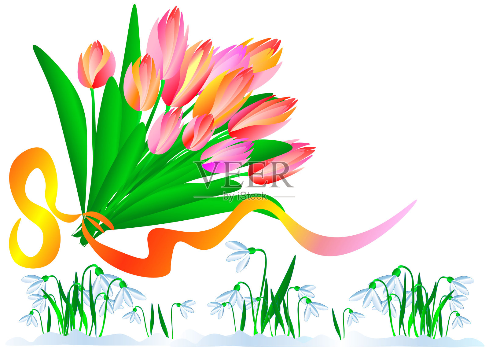 春天来了，一束美丽的郁金香和盛开的甜滴。美丽的大自然苏醒了插画图片素材
