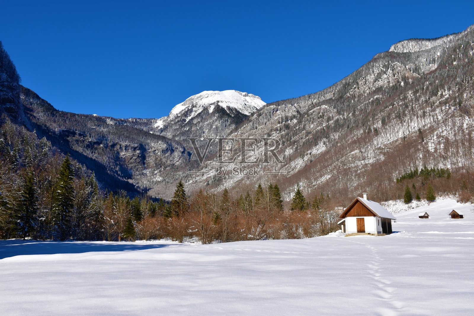 冬天从斯洛文尼亚Gorenjska的Voje山谷看Tosc山照片摄影图片