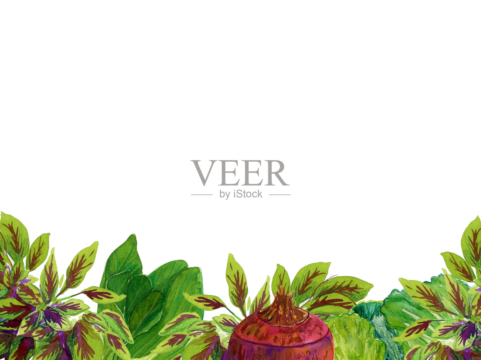 水彩手绘蔬菜框架，孤立在白色背景。插画图片素材