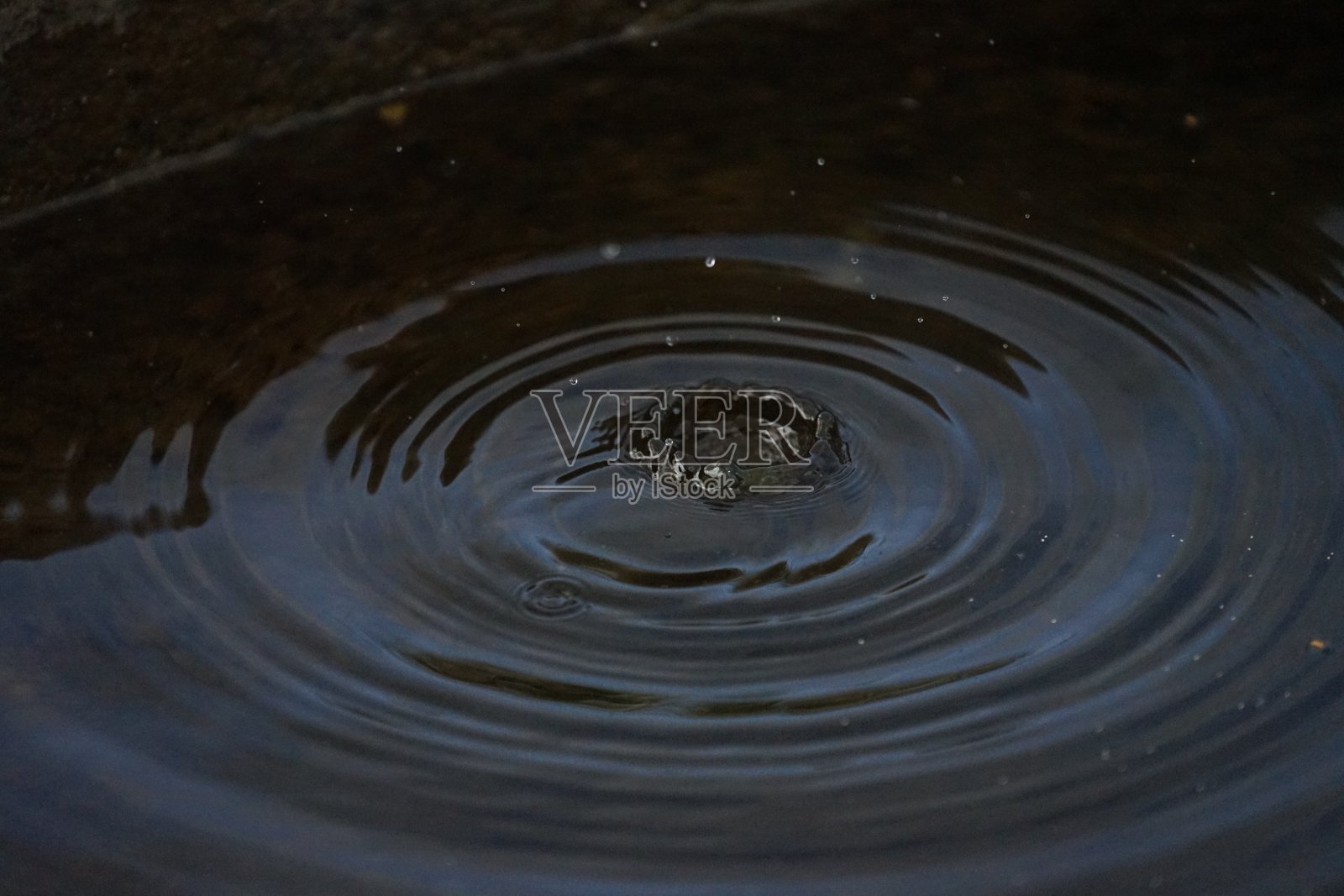 特罗芬照片摄影图片