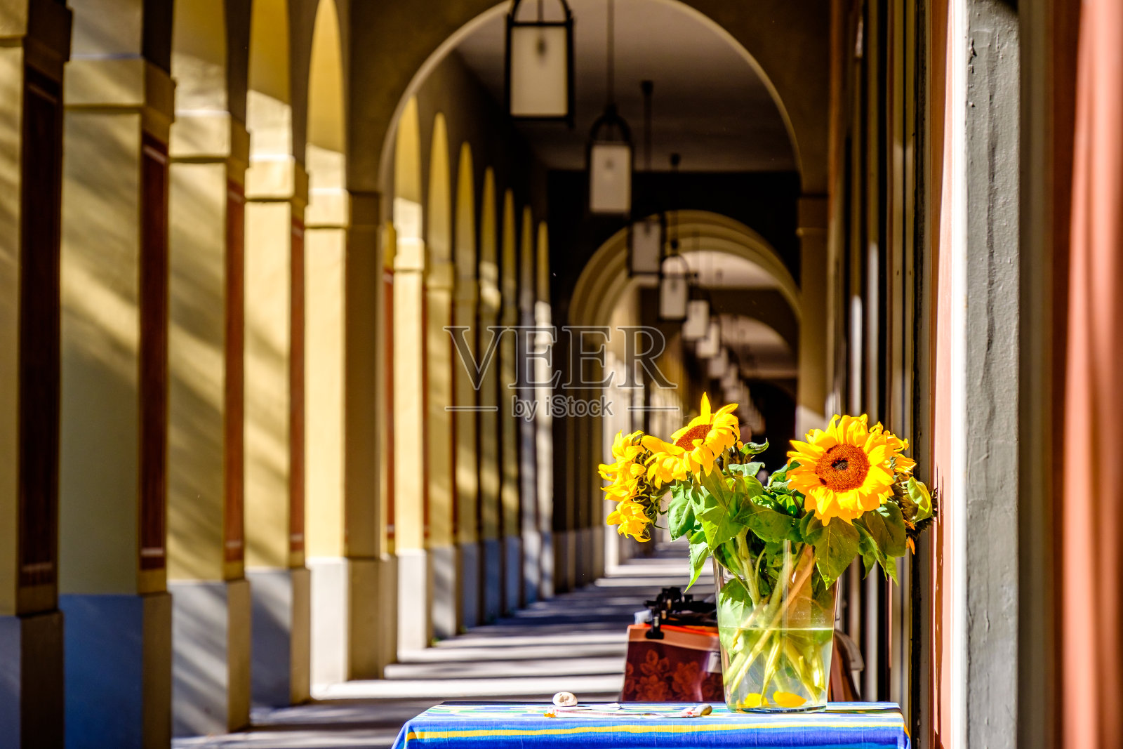 漂亮的向日葵-特写镜头照片摄影图片