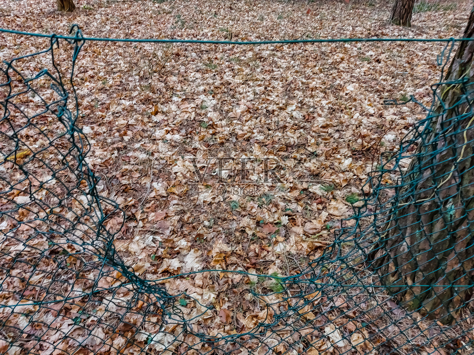 破损的铁丝网照片摄影图片