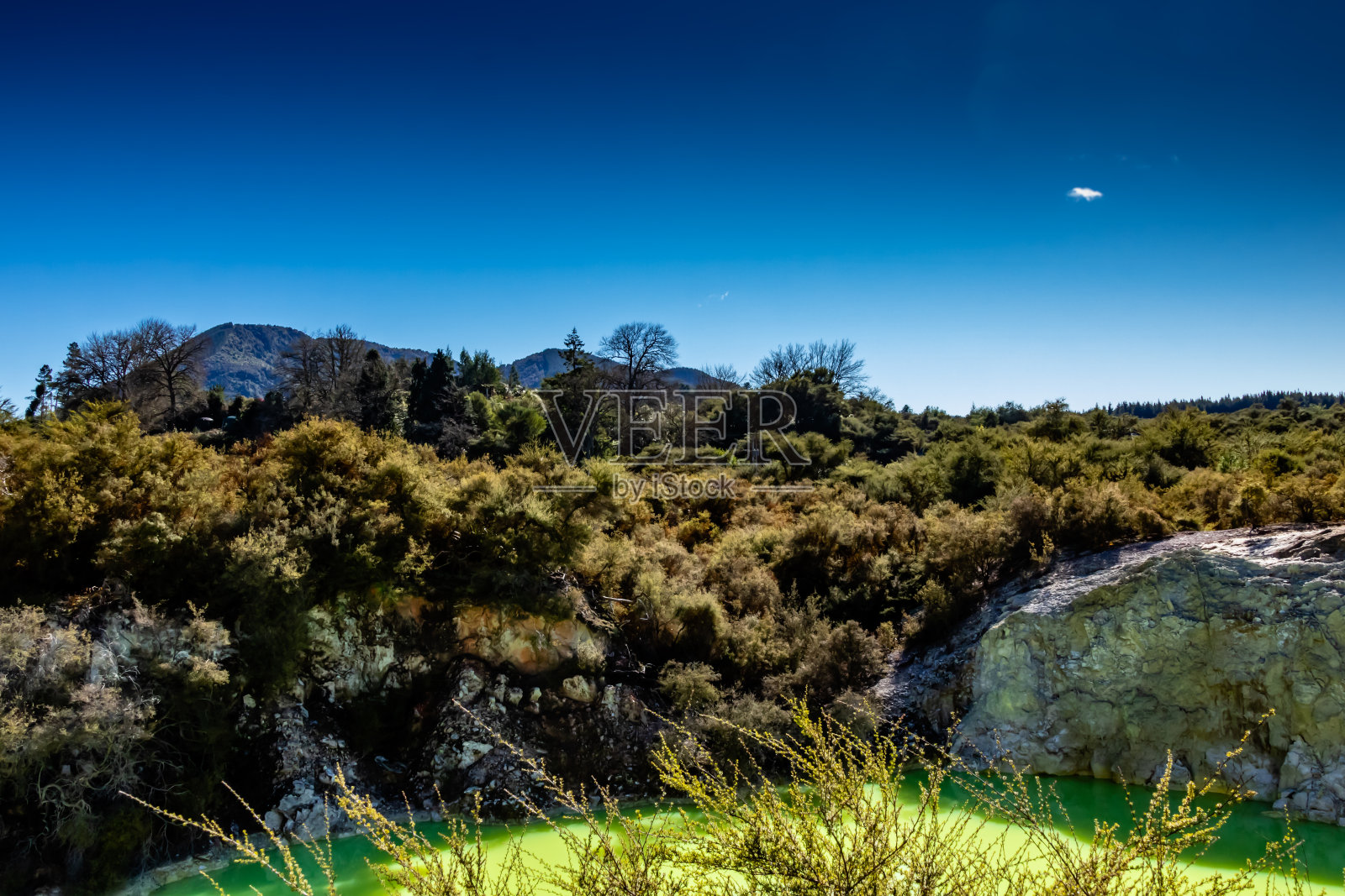 新西兰罗塔鲁阿waio - tapu温泉池及区域照片摄影图片