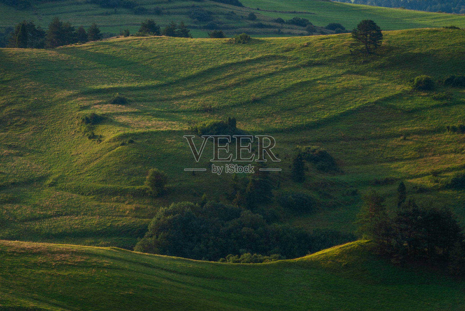 绿色丘陵，Pieniny，波兰照片摄影图片
