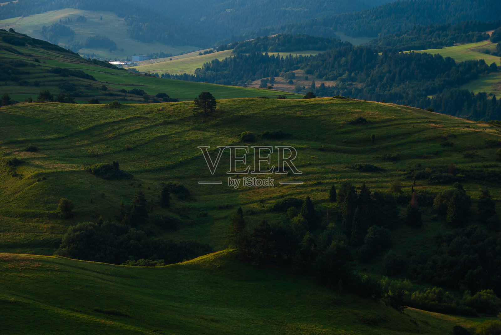 绿色丘陵，Pieniny，波兰照片摄影图片