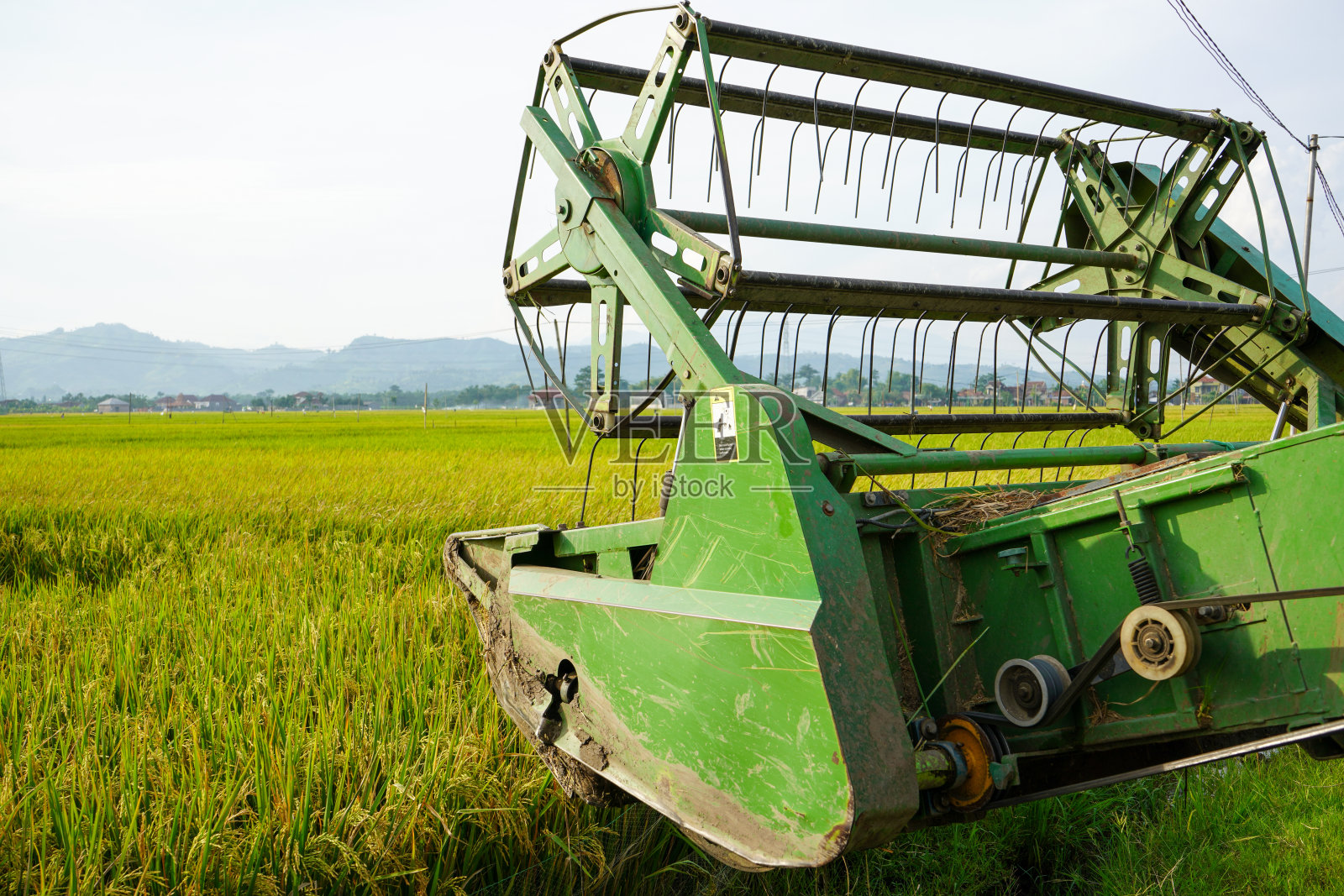 自动水稻收获机。照片摄影图片