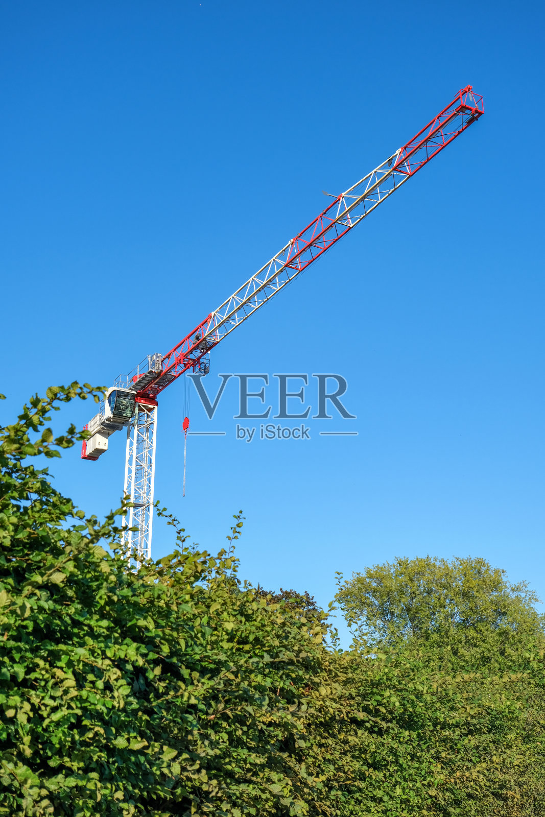 大型载重起重机、塔式起重机或建筑起重机，带舱室和起落架，位于树顶和蓝天之上照片摄影图片