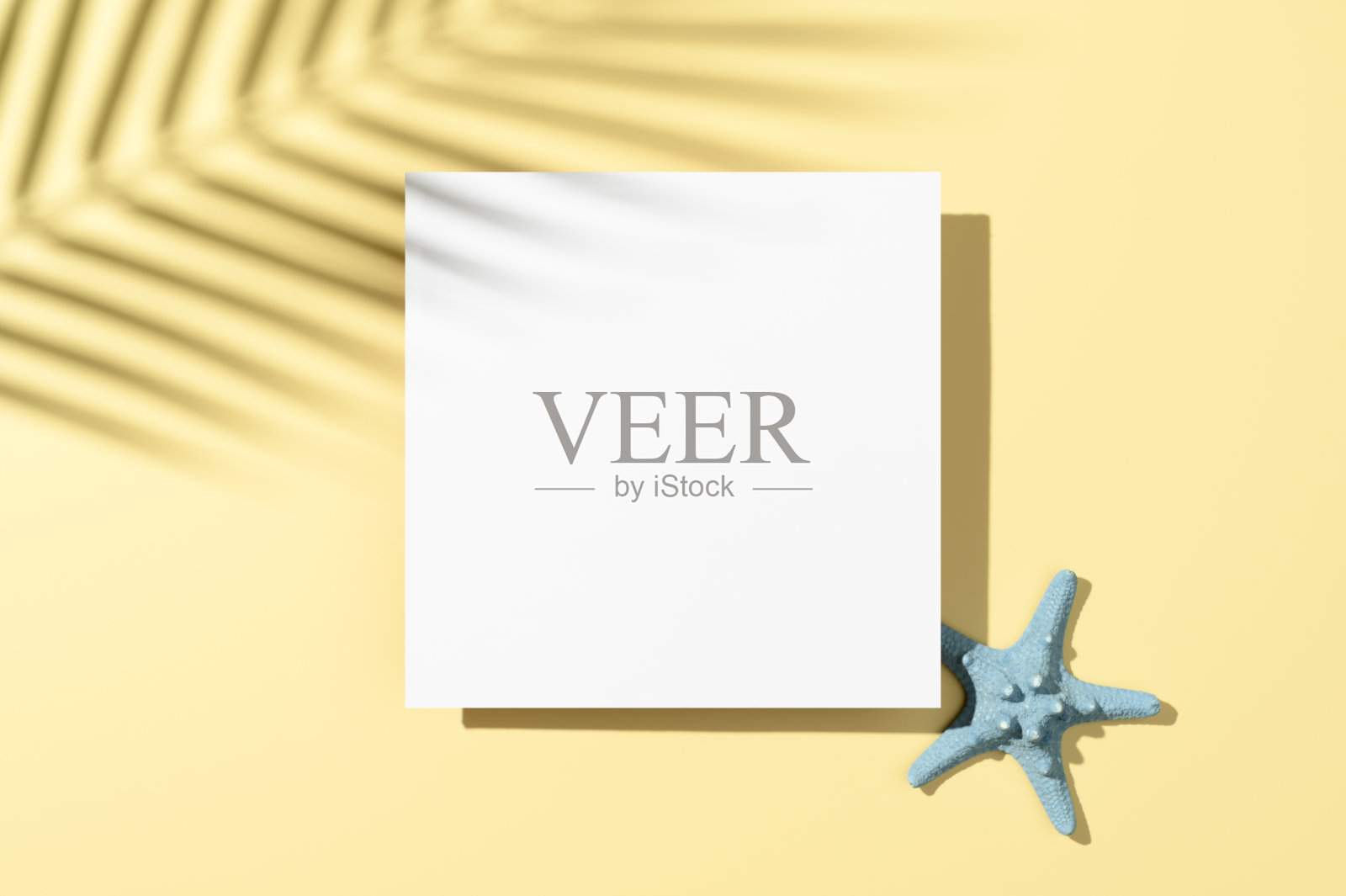 最小的夏季现代模型。白色平坦空白卡和海星在柔和的米色背景与棕榈叶阴影叠加。展示化妆品的陈列柜。俯视图照片摄影图片