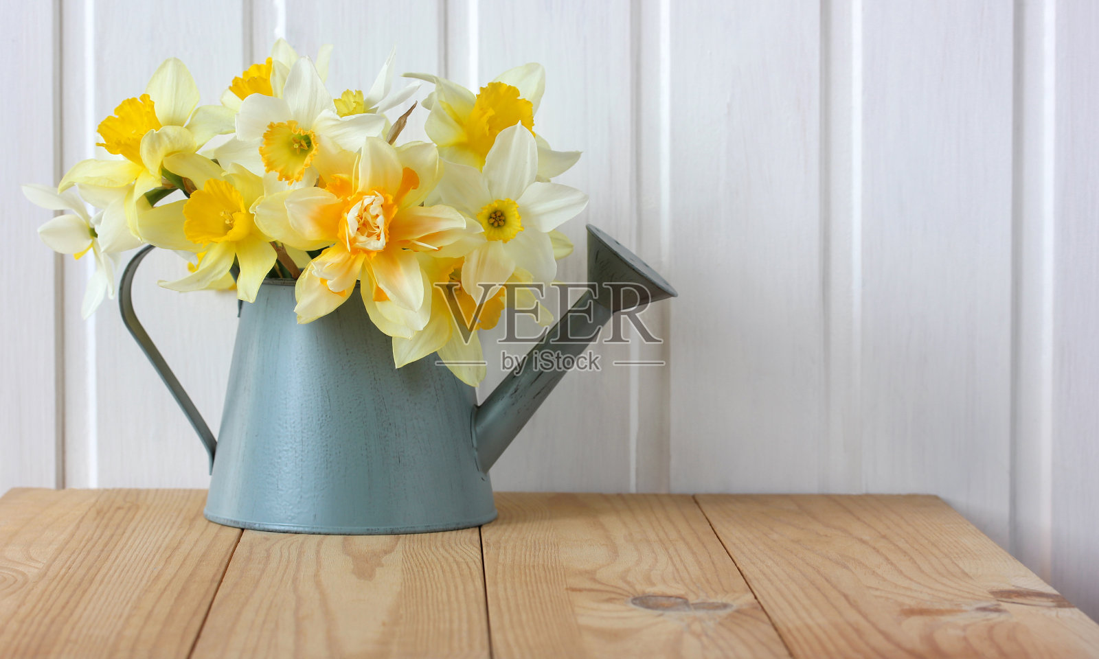 春天用黄色的水仙花组成，花束在喷壶里。照片摄影图片