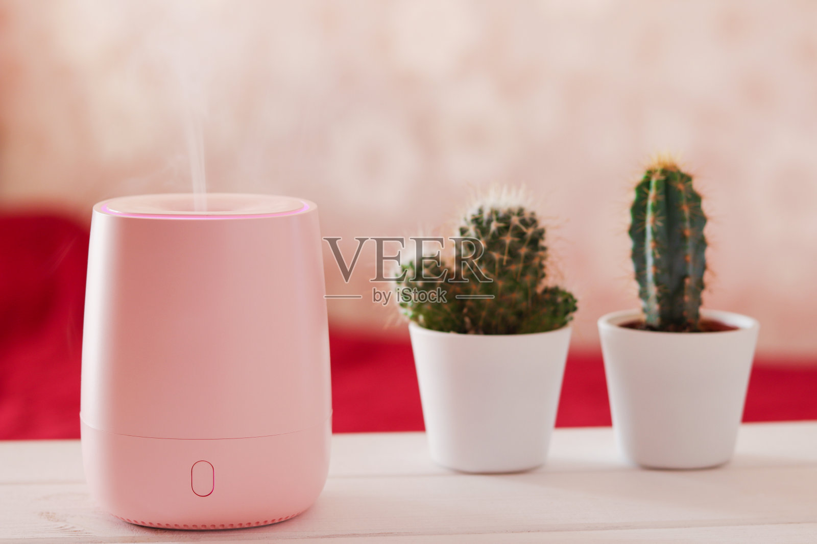 加湿器或香薰灯打开后，客厅里的植物变得模糊起来。理念健康的生活方式，舒适的生活条件照片摄影图片