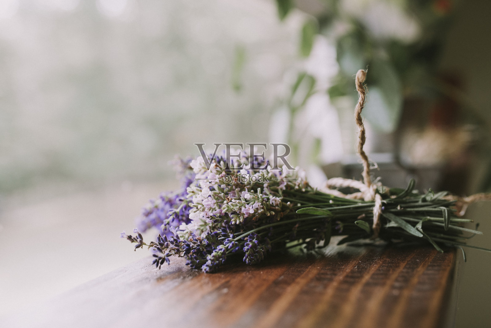 薰衣草的侧视图与粗麻绳绑在木头上照片摄影图片