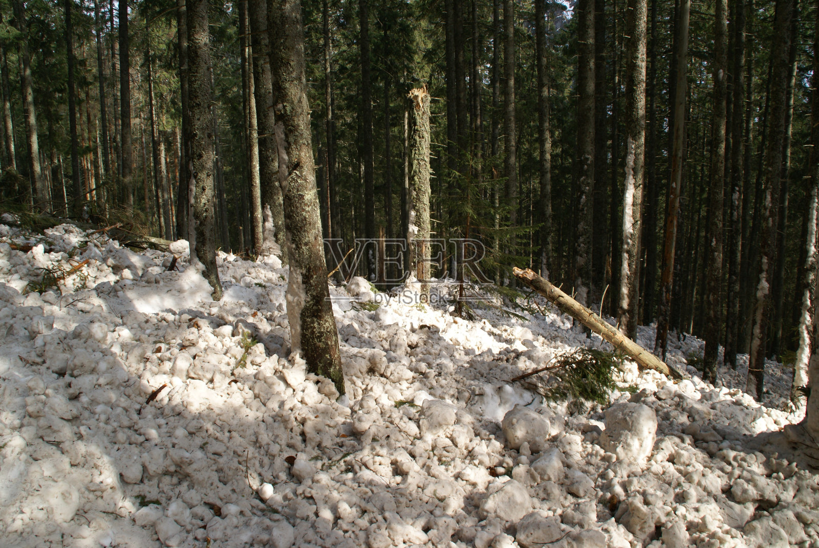 波兰泰特拉山脉发生雪崩照片摄影图片