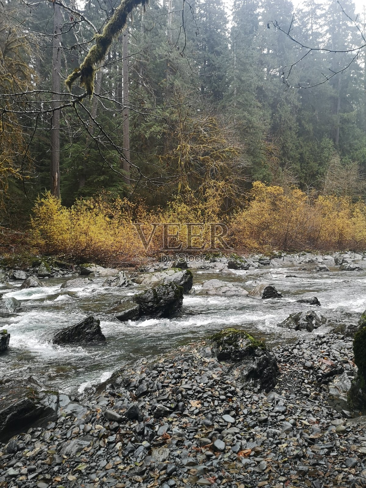 流照片摄影图片