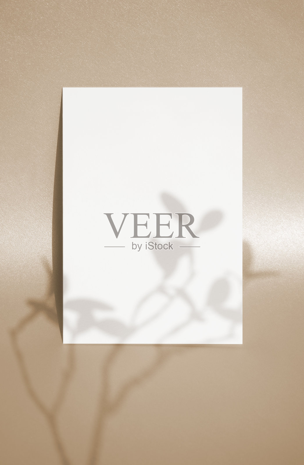 一张空卡在闪亮的背景模型照片摄影图片