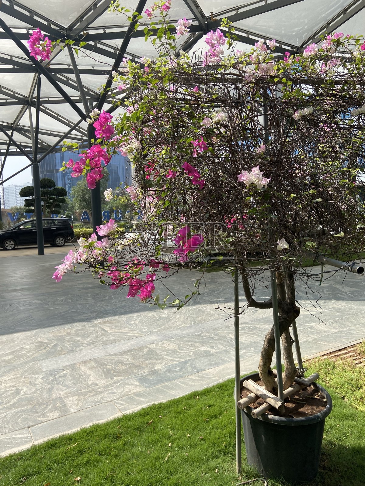 好奇的点击照片摄影图片