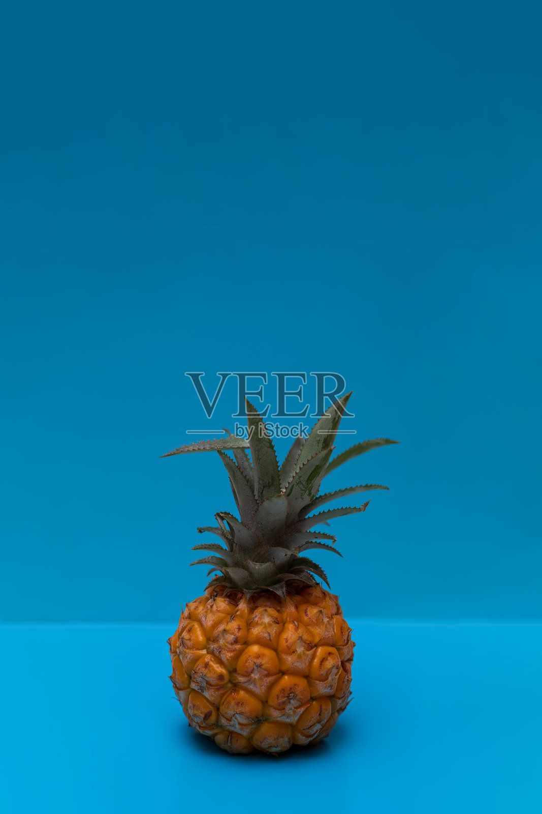蓝色背景上的菠萝。热带水果。适当的营养。平铺，复制空间。照片摄影图片