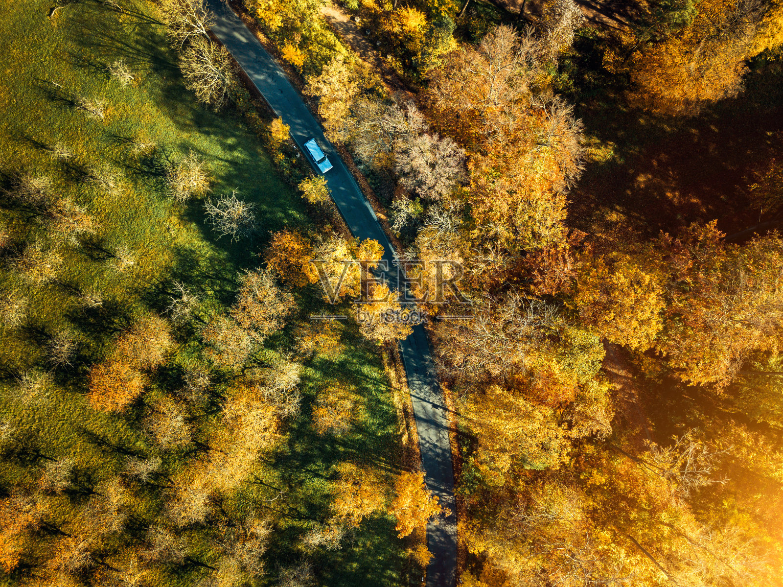 蜿蜒的道路穿过秋天的森林照片摄影图片