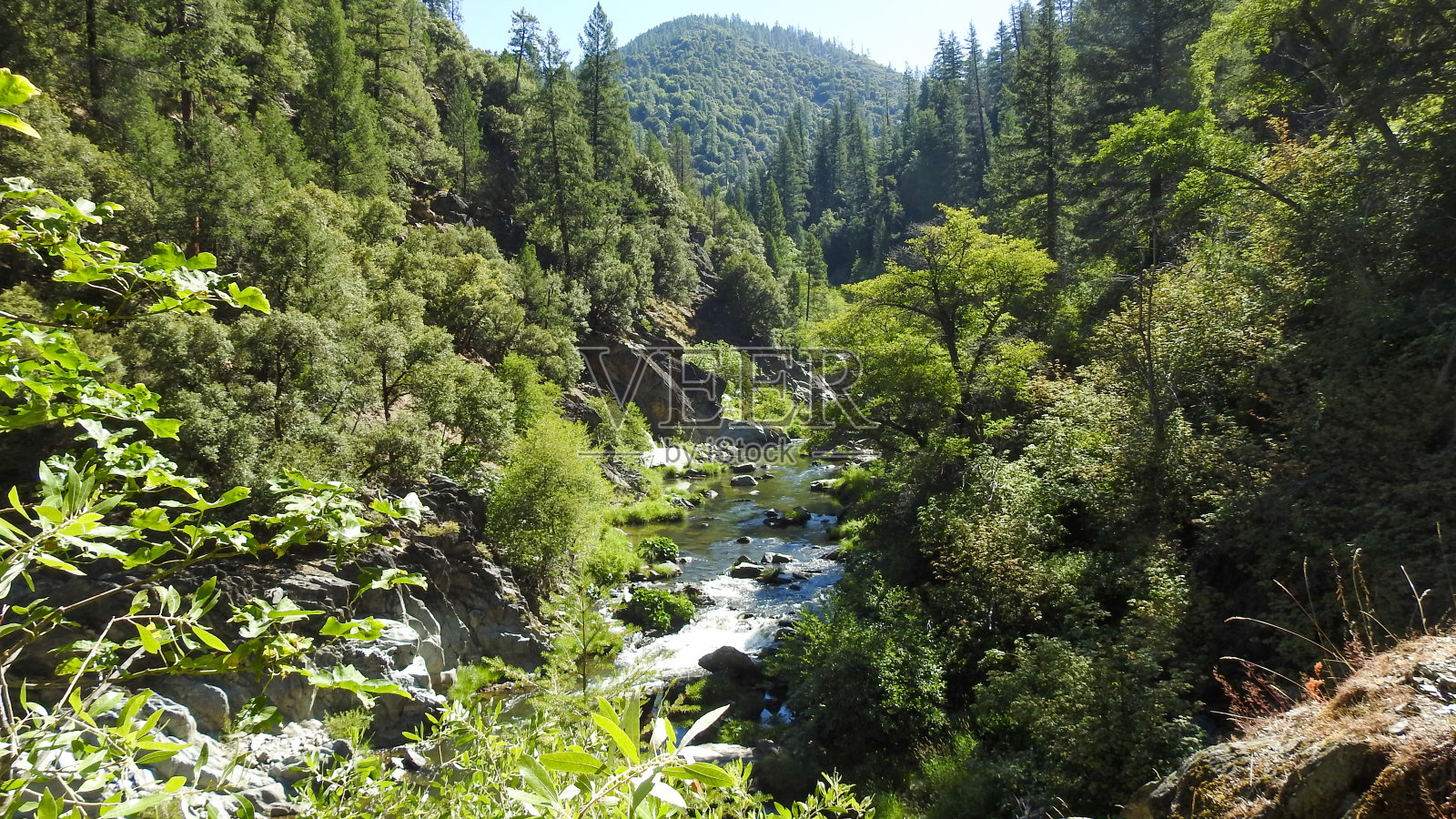 自然31照片摄影图片