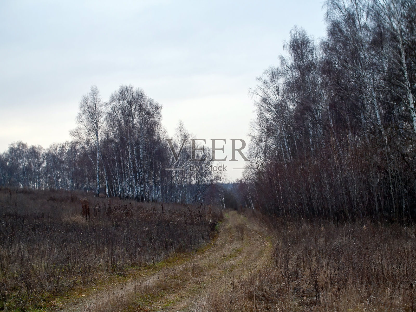 一个阴天，穿过田野的土路照片摄影图片