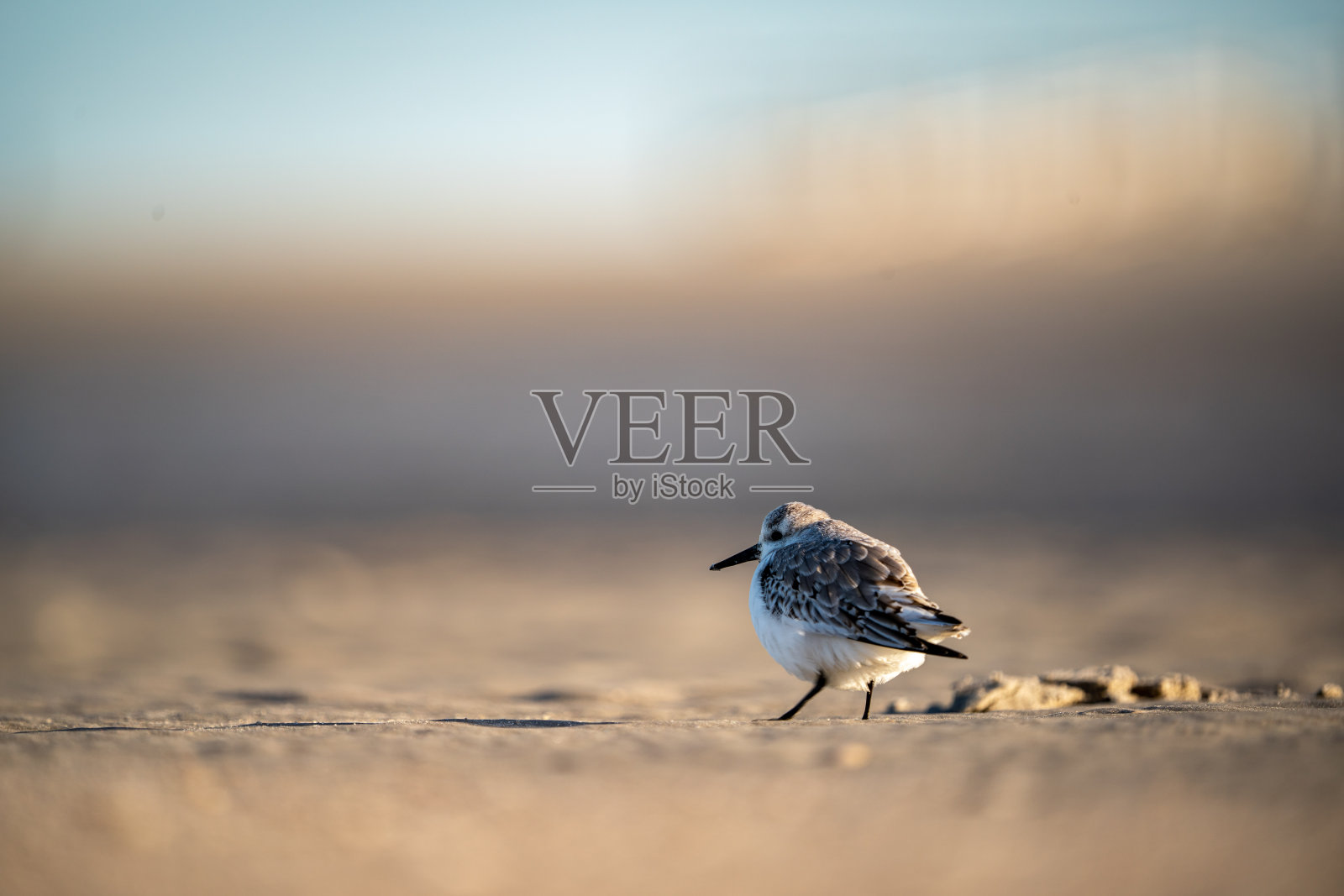 圣彼得奥尔丁照片摄影图片