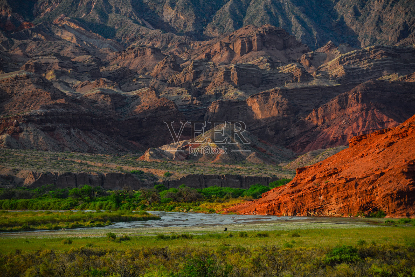 日落时分在卡法亚特草原上吃草的马照片摄影图片