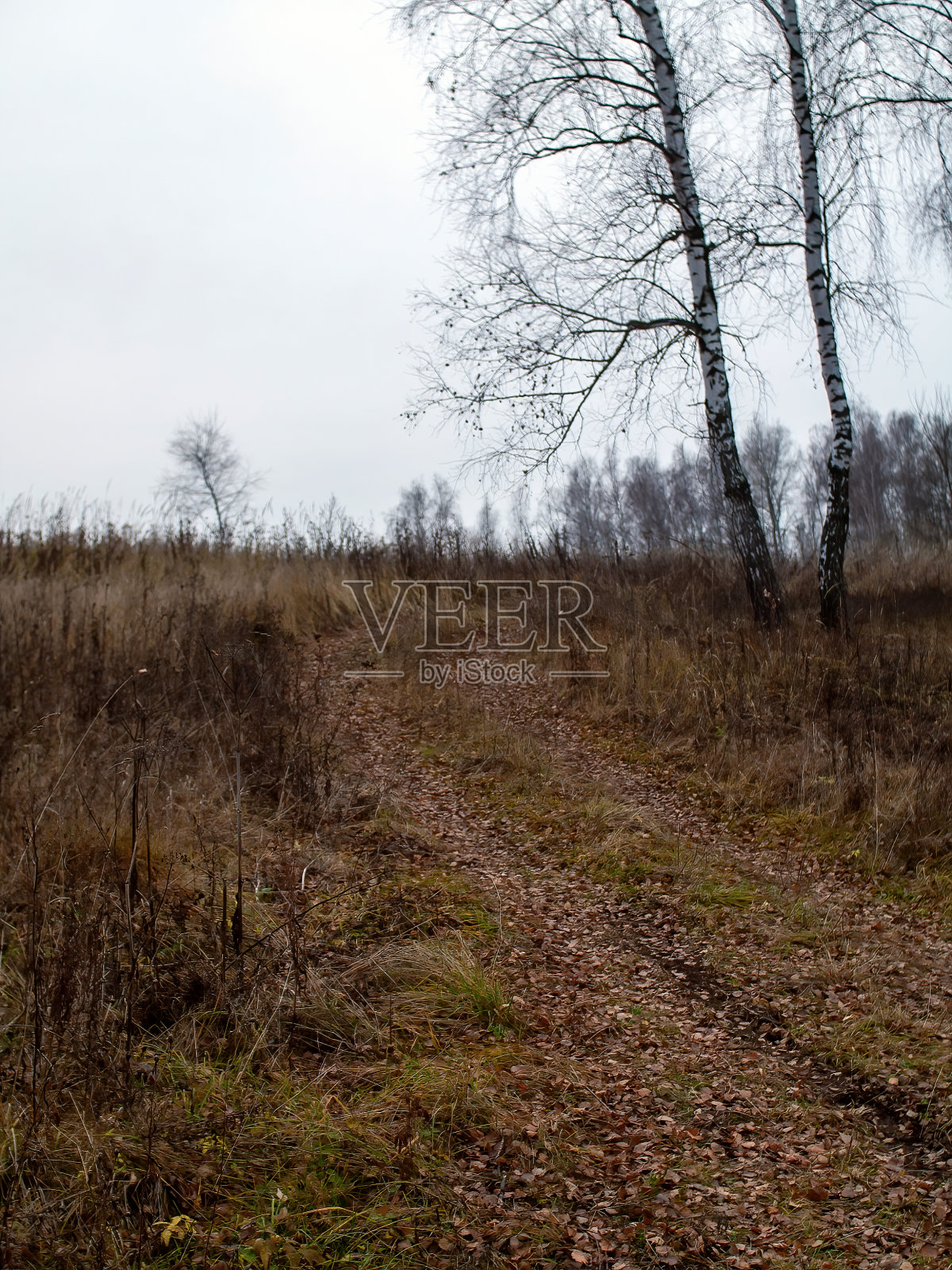 一个阴天，穿过田野的土路照片摄影图片