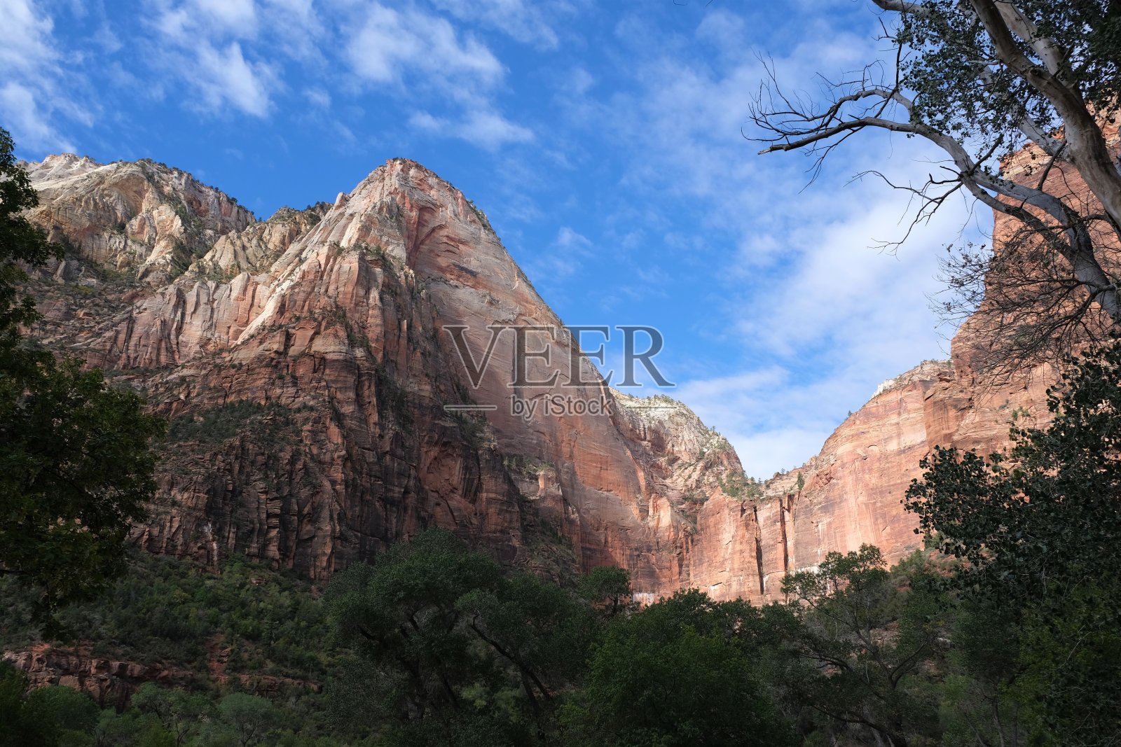 锡安国家公园，犹他州，美国照片摄影图片