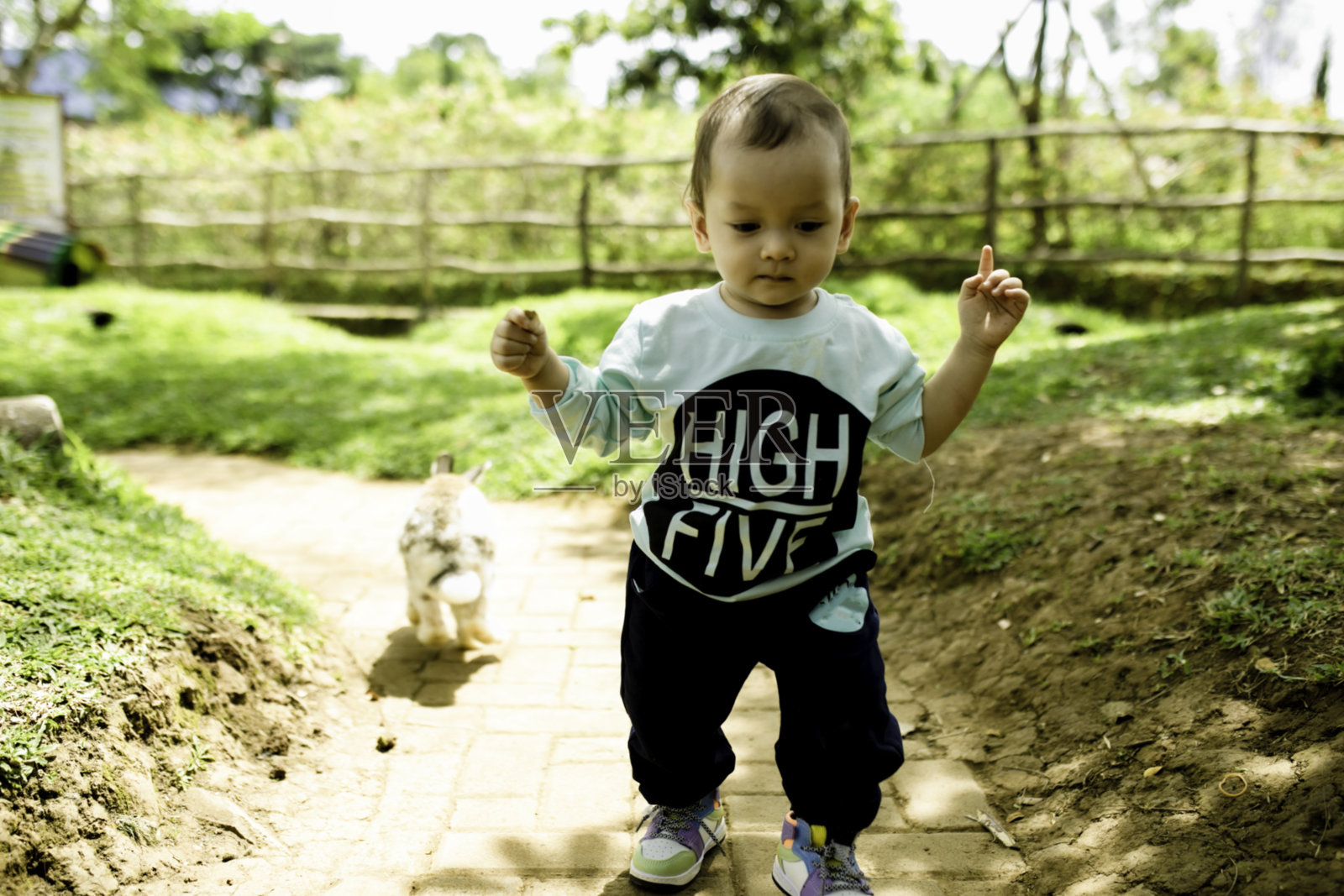 幸福的家庭喜欢在农场喂牲畜照片摄影图片