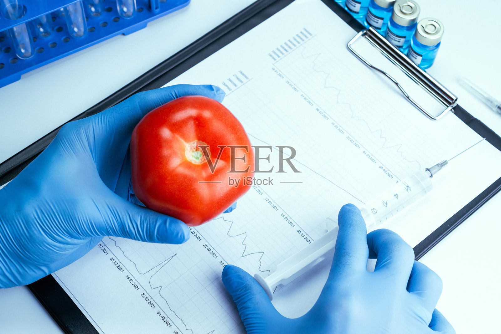 转基因生物。转基因科学家将液体从注射器注入红番茄。转基因食品生物技术概念。照片摄影图片