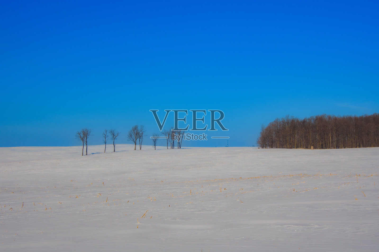 冬天的风景照片摄影图片