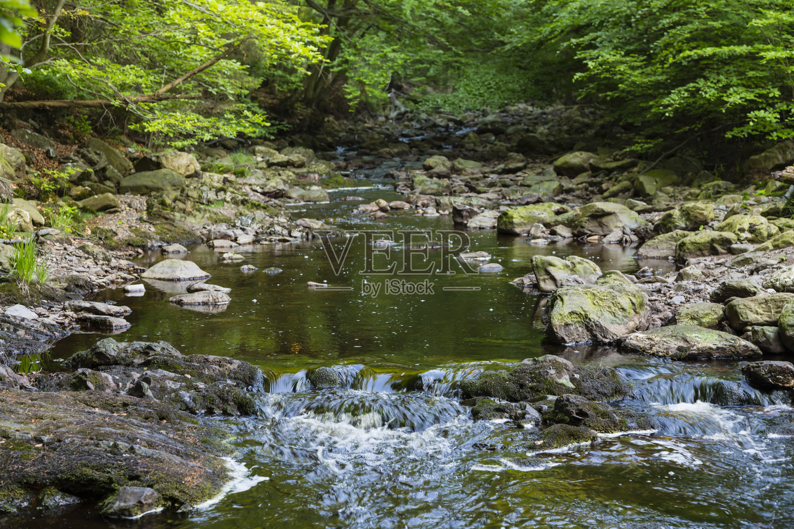 山间溪流穿过绿色的森林照片摄影图片