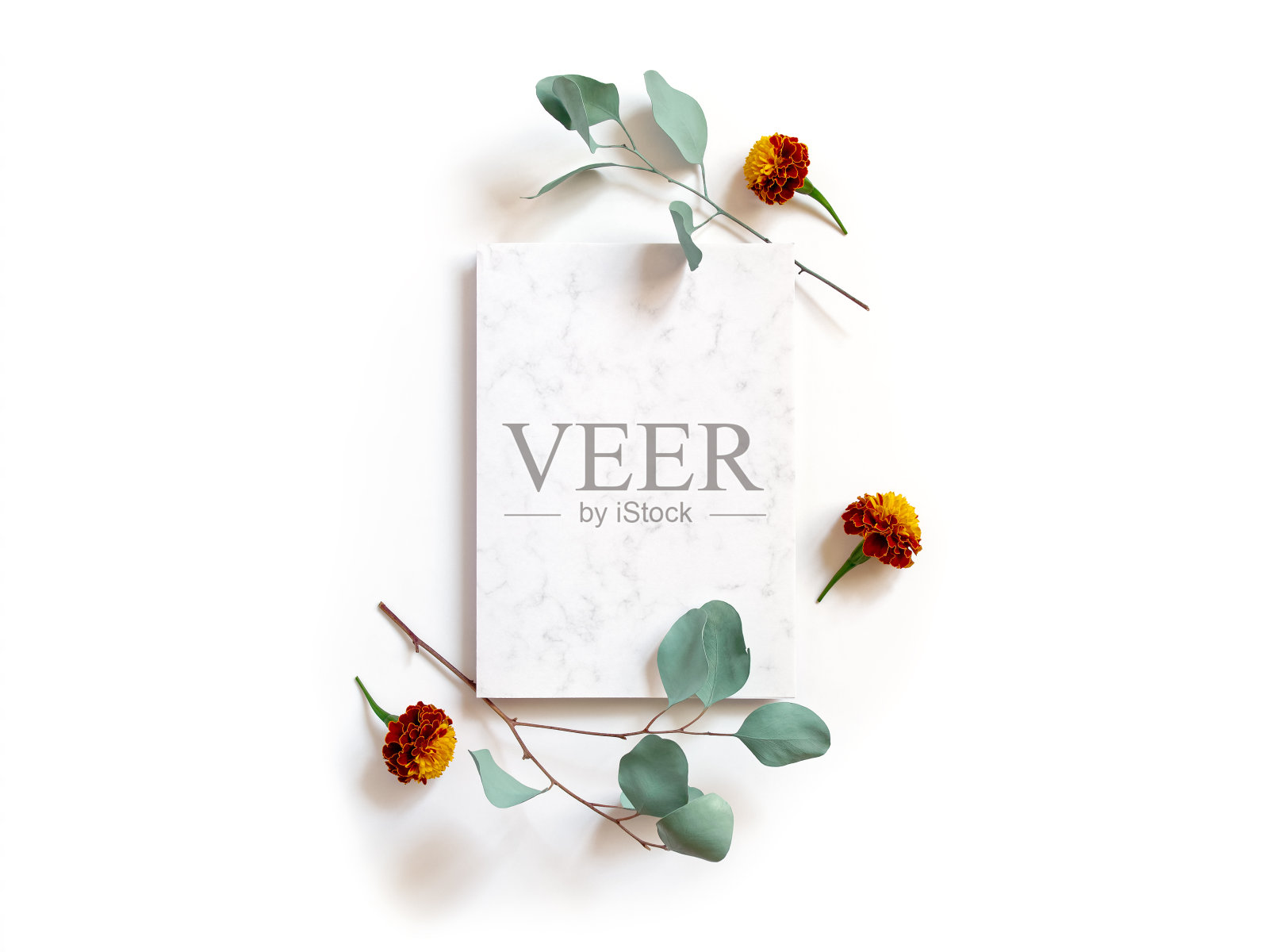 花组成。桉树的枝条上有圆形的叶子，万寿菊的花朵上有白色的底色。一张有大理石图案的纸在布局的中心。平的。副本的空间。照片摄影图片