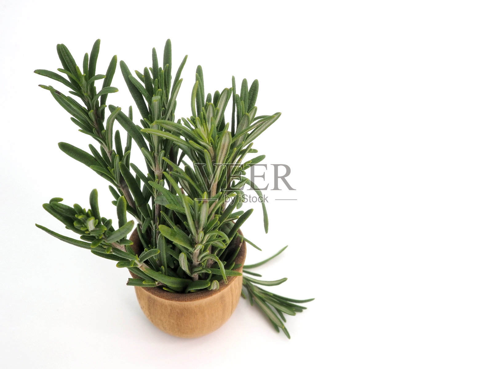 迷迭香插在木制花瓶里照片摄影图片