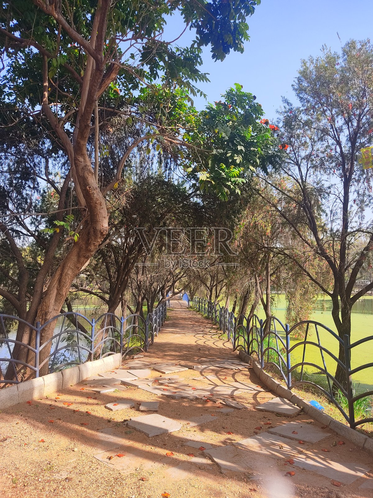 阳光明媚的一天在城市边照片摄影图片