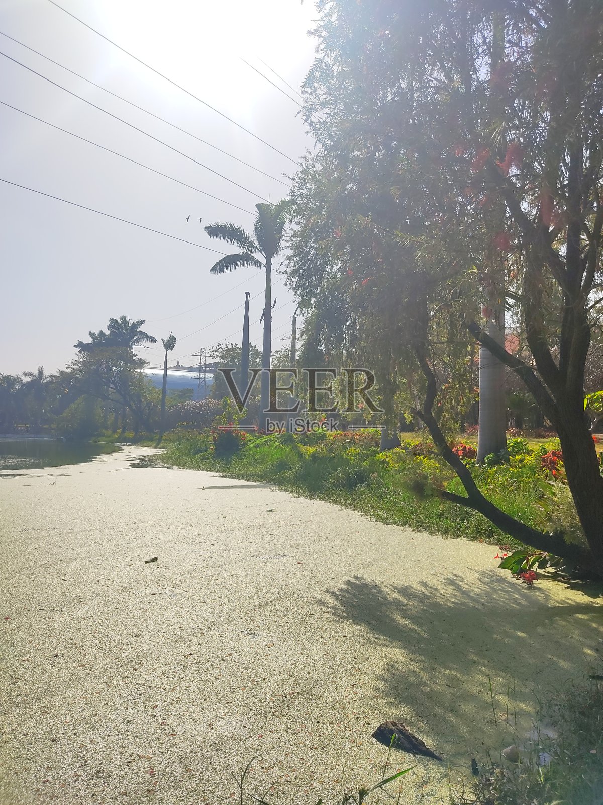 阳光明媚的一天在城市边照片摄影图片