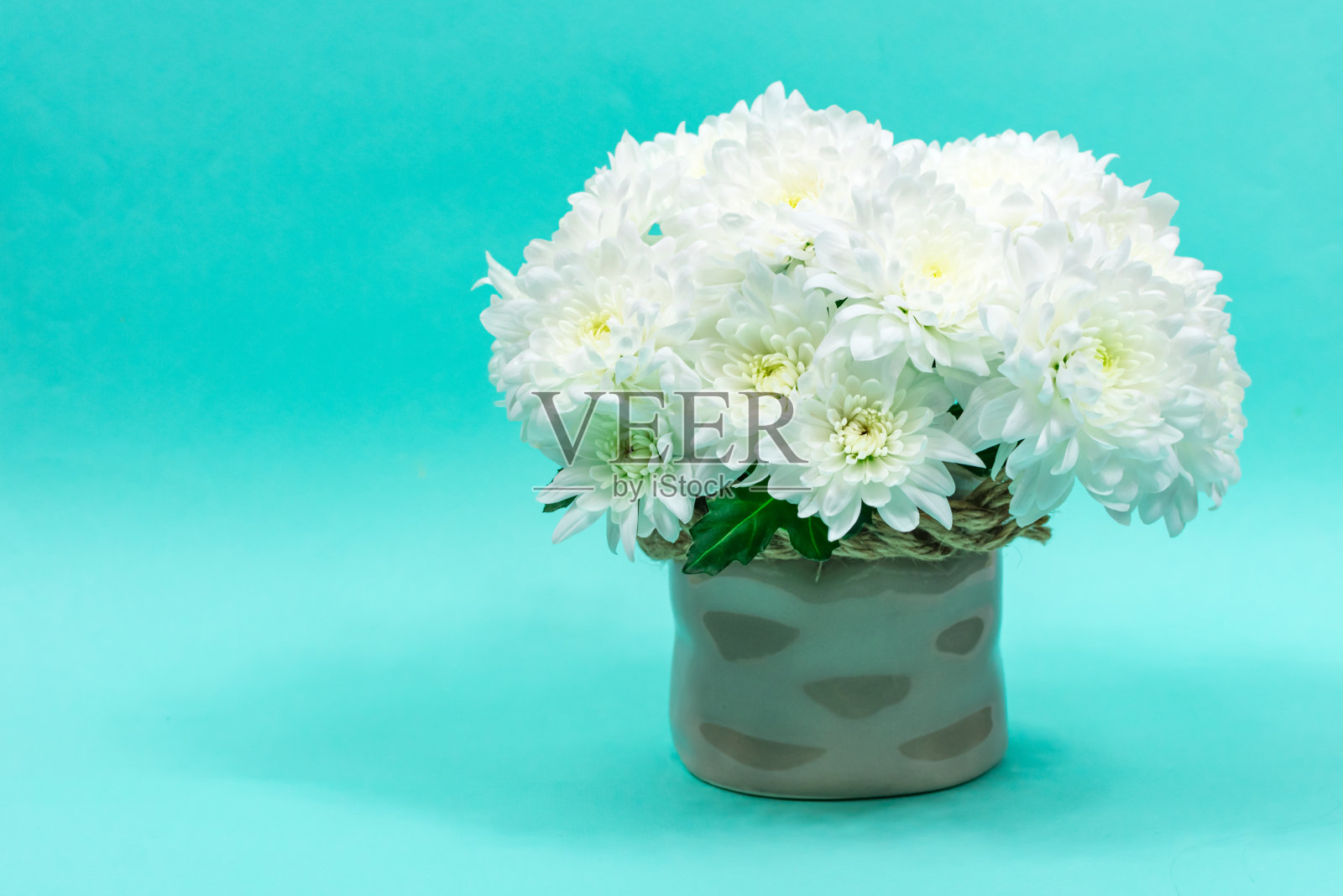 白色菊花花束，插在一个蓝色背景的陶瓷花瓶里。3月8日母亲节明信片。美丽的菊花。铭文的地方。照片摄影图片