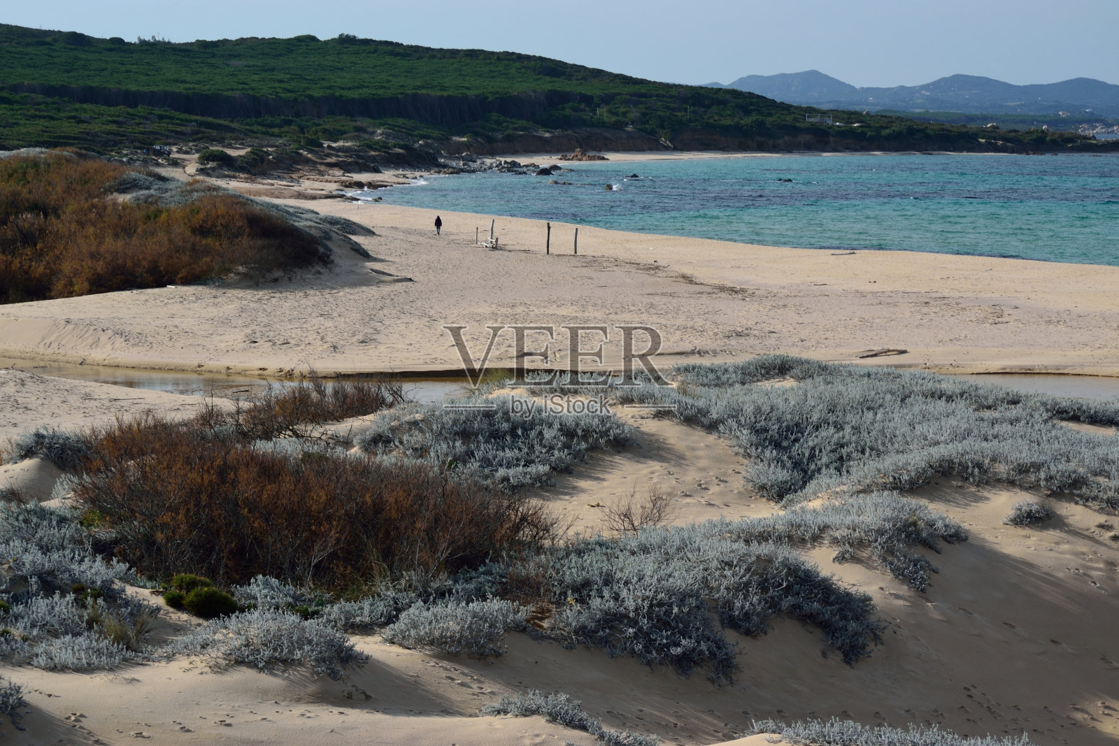 吕里塔罗尼海滩和沙丘的景色照片摄影图片