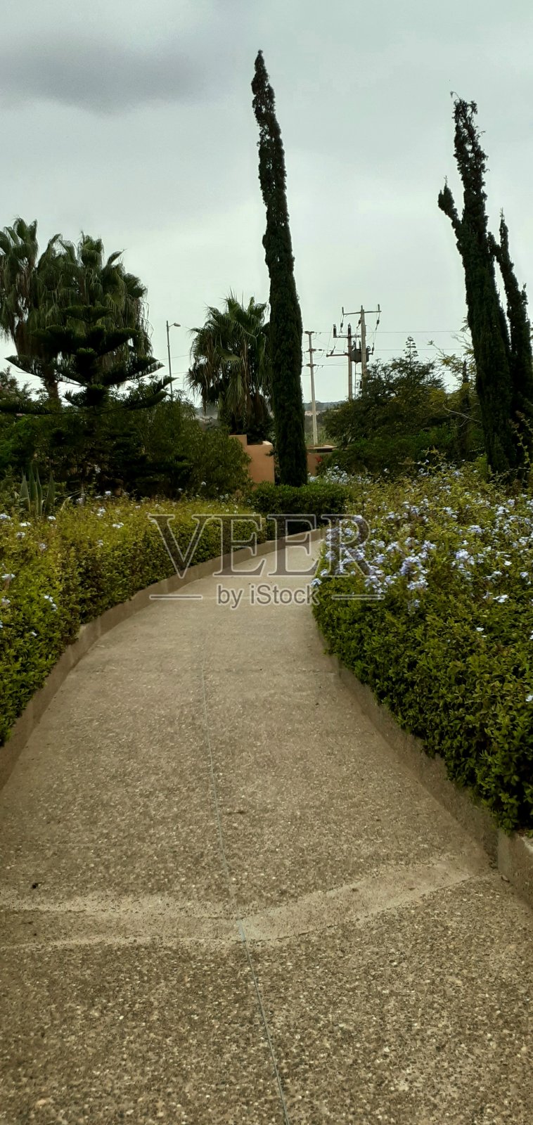 利雅得照片摄影图片