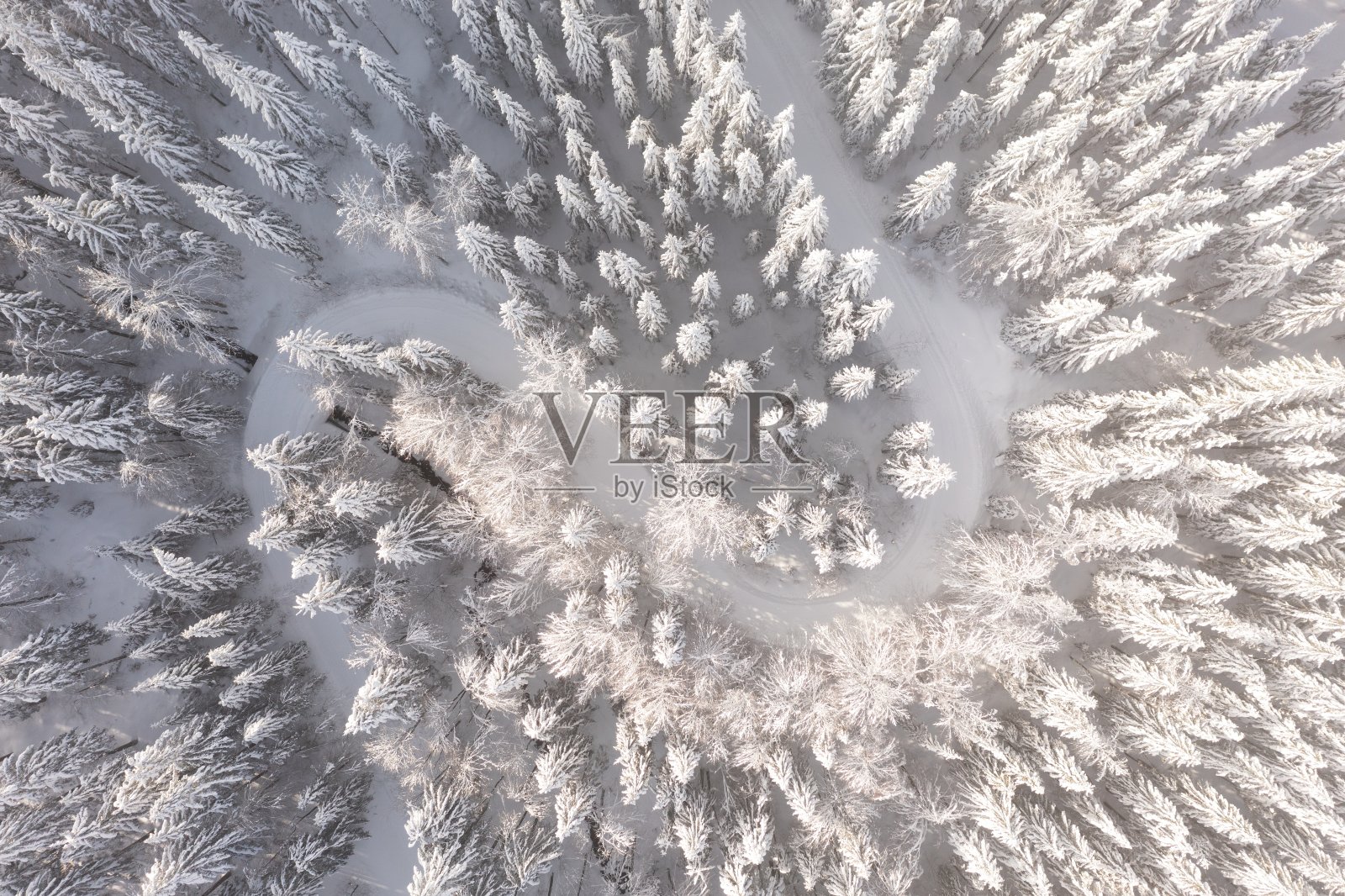 北方云杉林空中俯瞰，冬季圣诞景观照片摄影图片