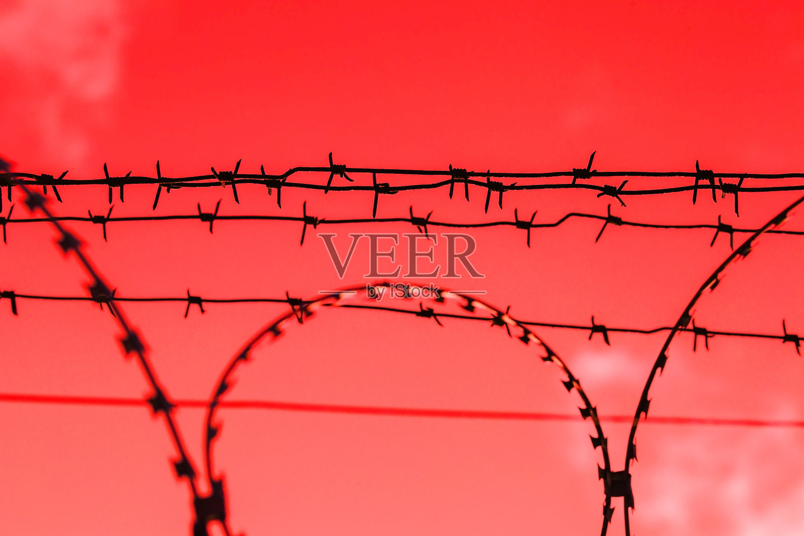 黑色的铁丝网映衬着血红色的天空照片摄影图片