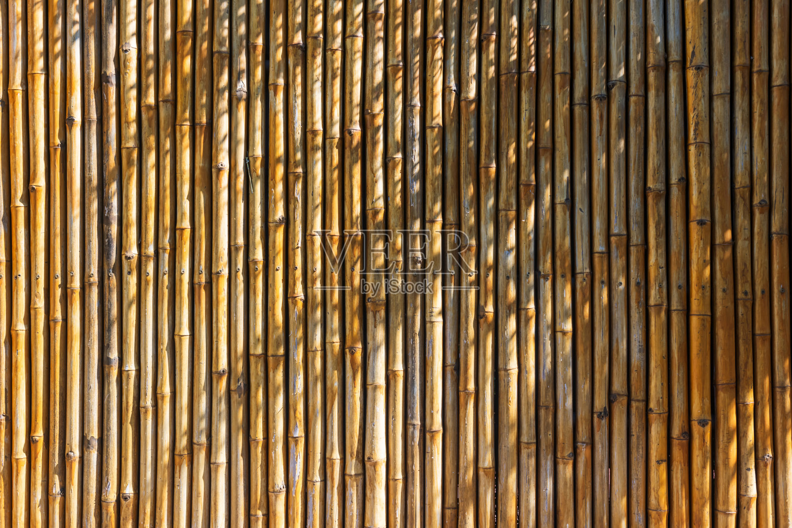 黄色竹墙，自然光影照片摄影图片