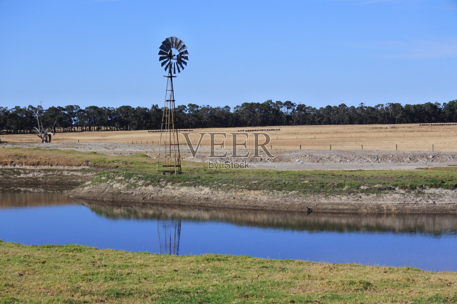雨水坑和农场上的旧风车照片摄影图片