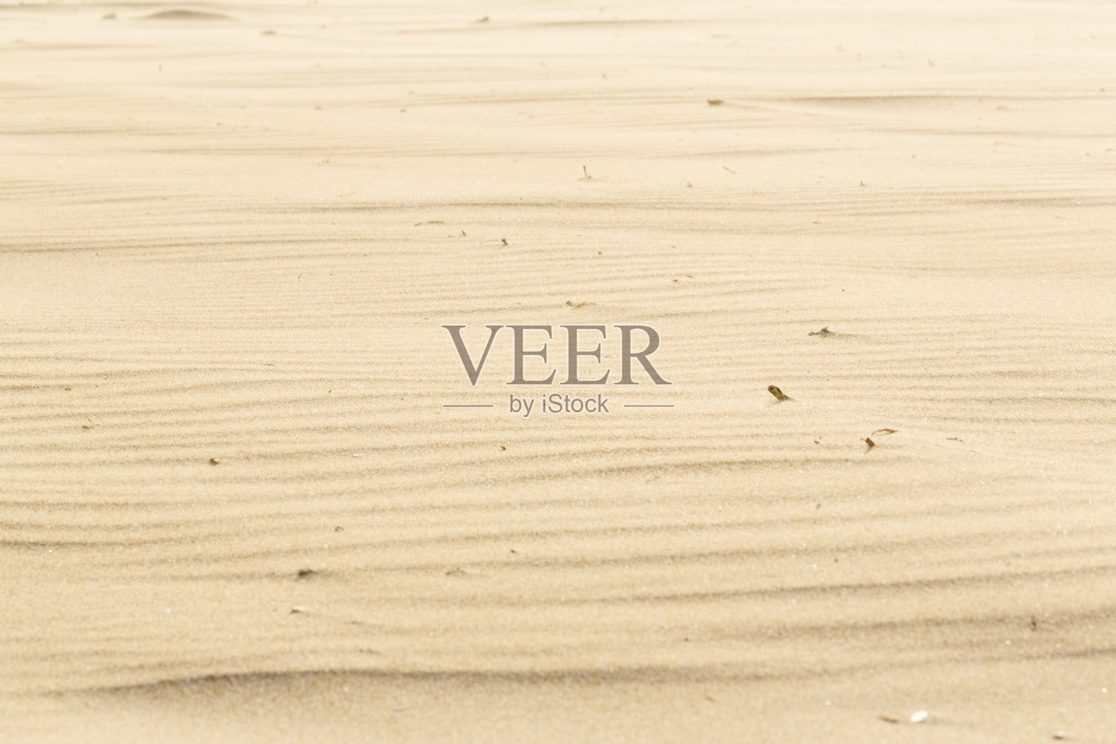 沙背景照片摄影图片