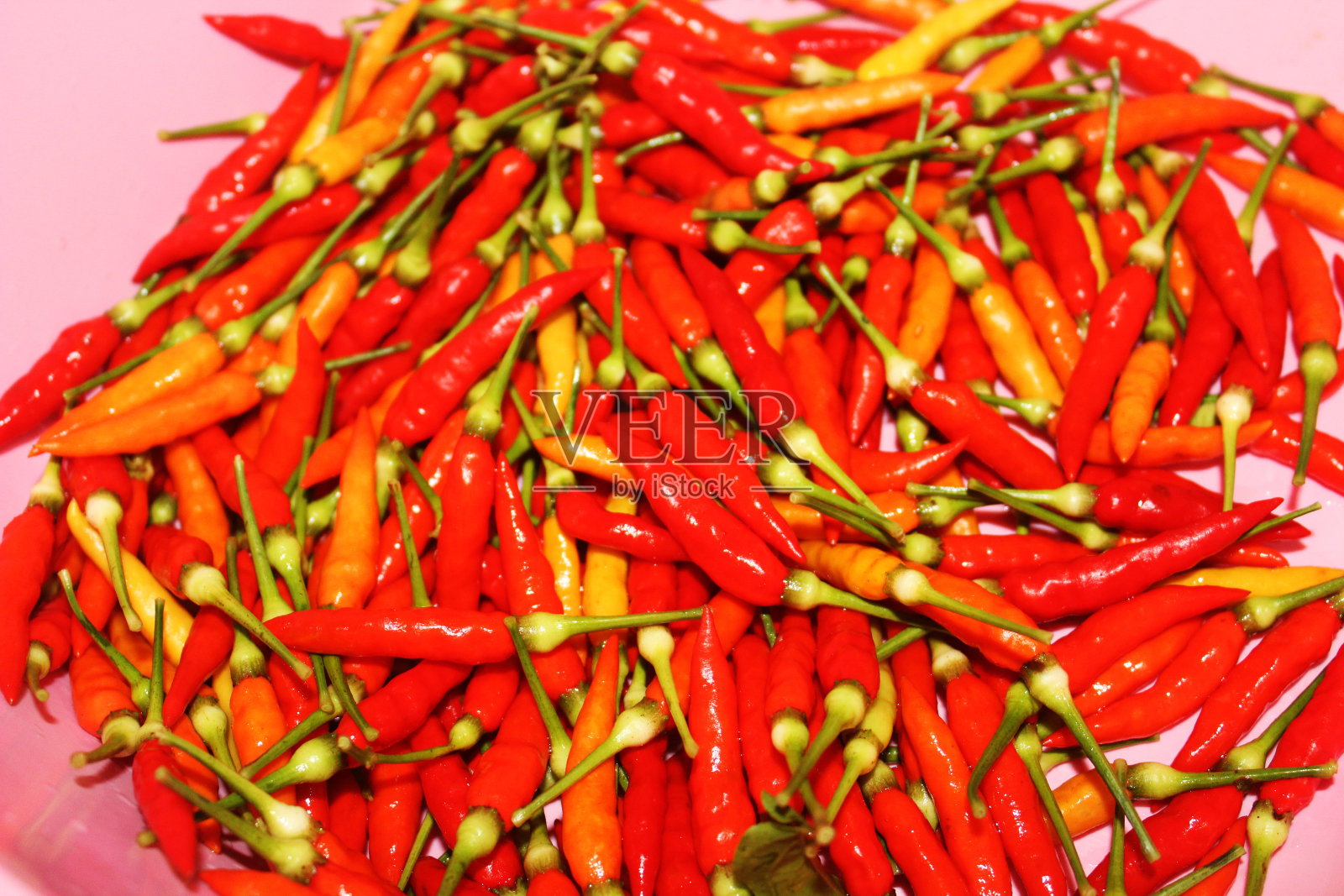 红色的成熟的鸟辣椒从我们自己的后院收获。有机生长，非常适合作为日常烹饪食谱的补充。有利于减肥。照片摄影图片