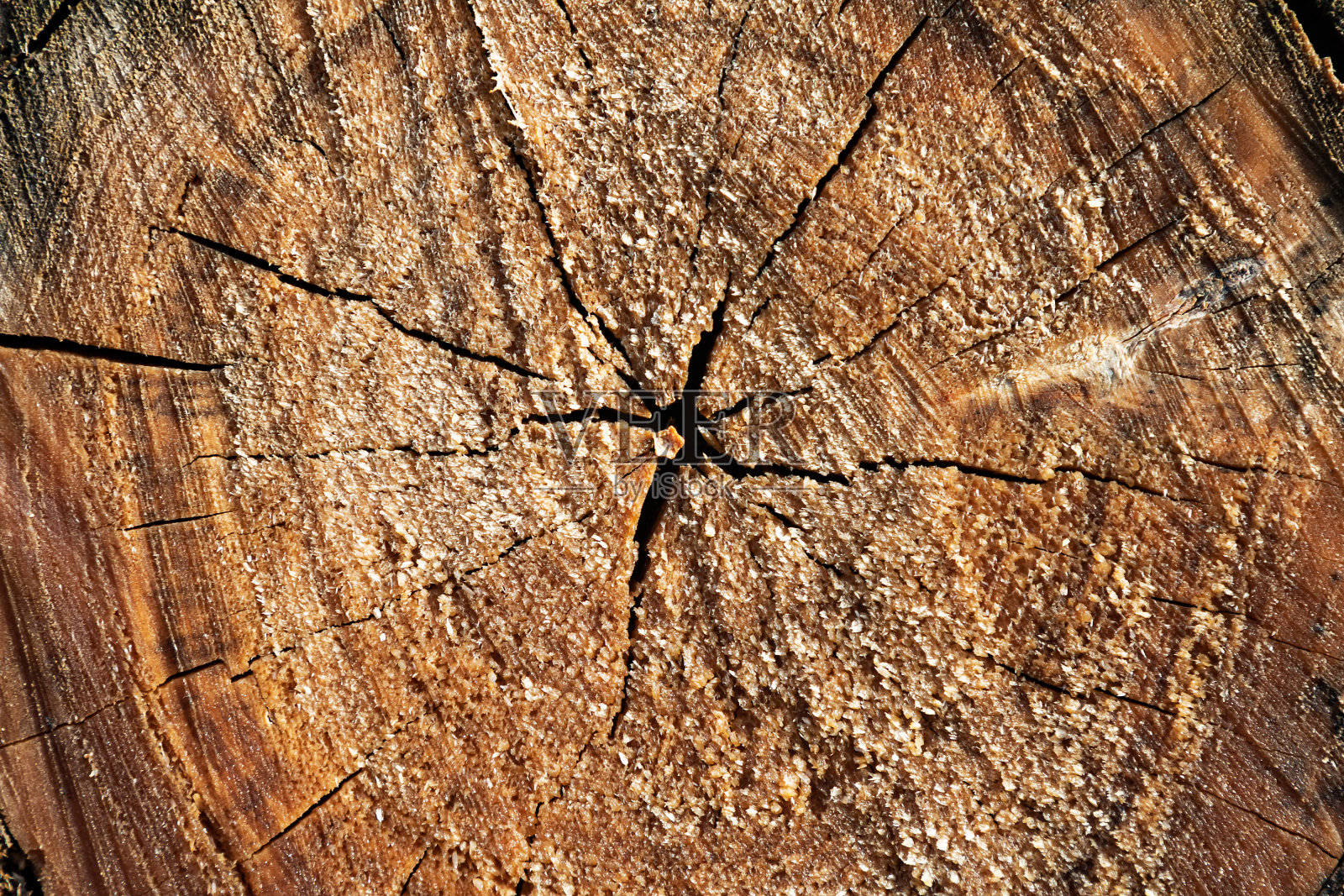 木头抽象结构。表面枯燥乏味的背景。肮脏的木制效果模式。背景材料。照片摄影图片