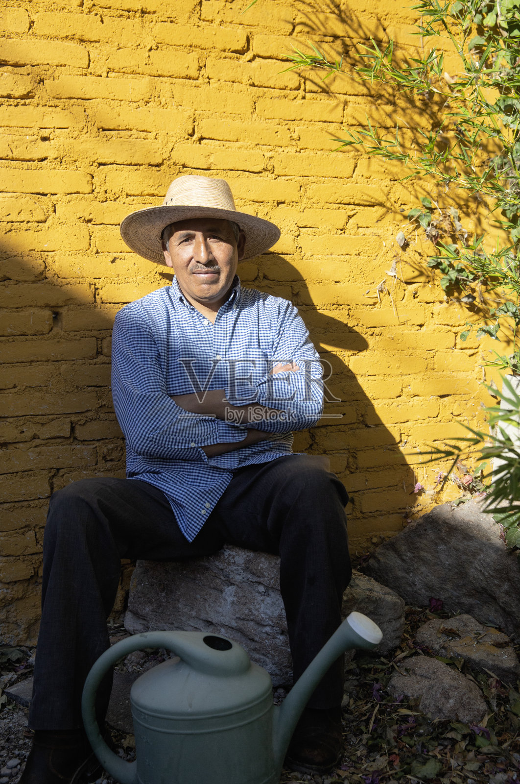 阳光照片摄影图片