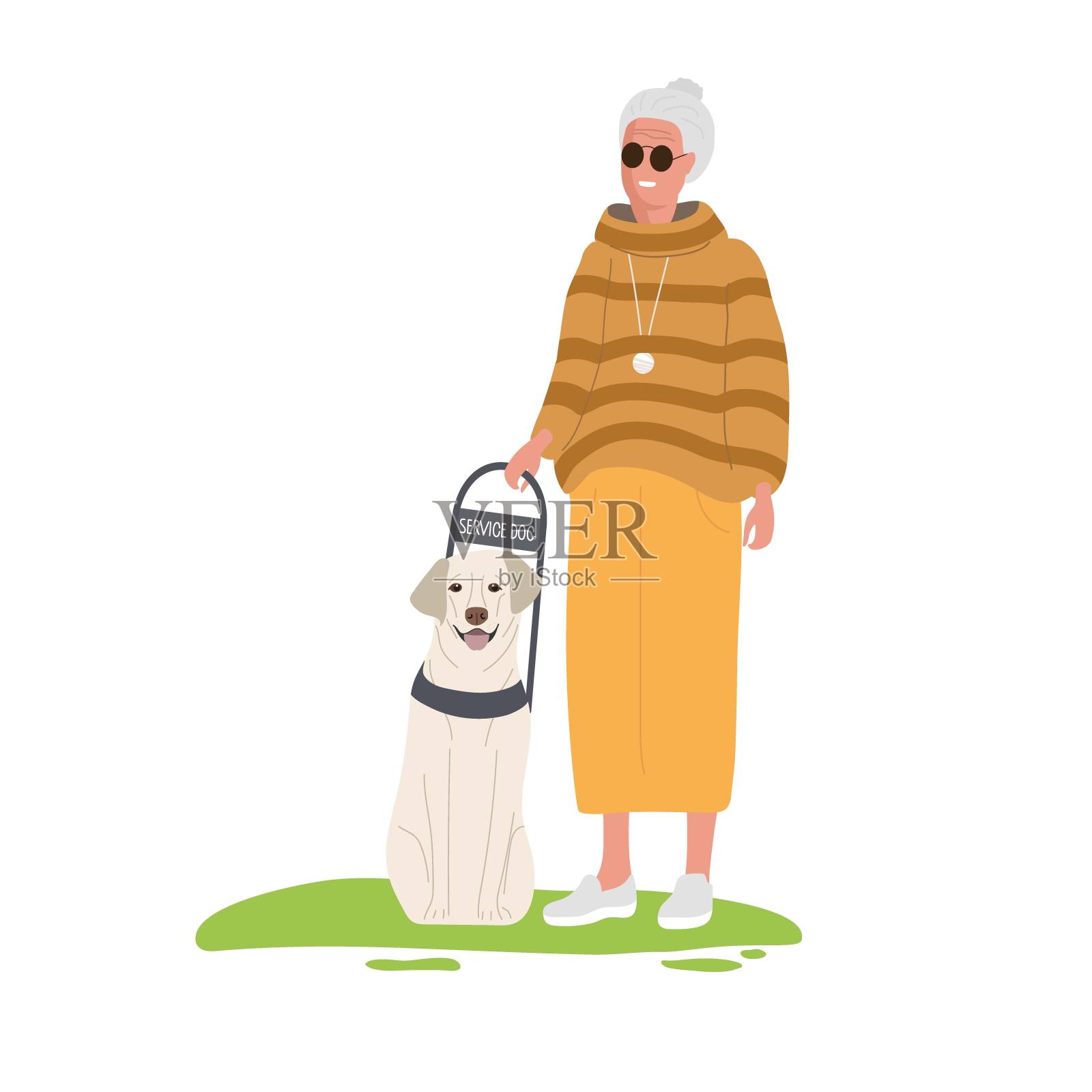 戴着墨镜的老妇人站着。导盲犬帮助老妇人。服务的狗。导盲犬。受过严格训练的动物。动物是坐着。浅色的短发的狗。平面向量插图。插画图片素材