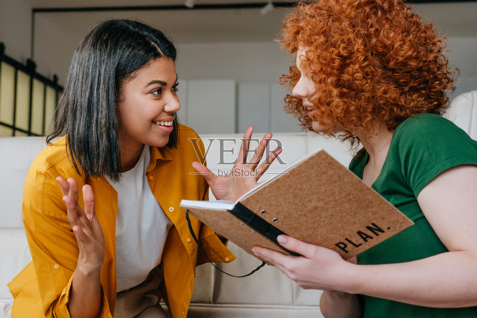 两个年轻女人在笔记本上讨论新项目照片摄影图片